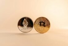 latest cryptocurrency network insights